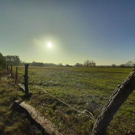 Agroturystyka Zubr Villa Siemianowka Esterno foto