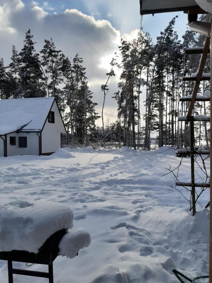 Agroturystyka Zubr Villa Siemianowka Esterno foto