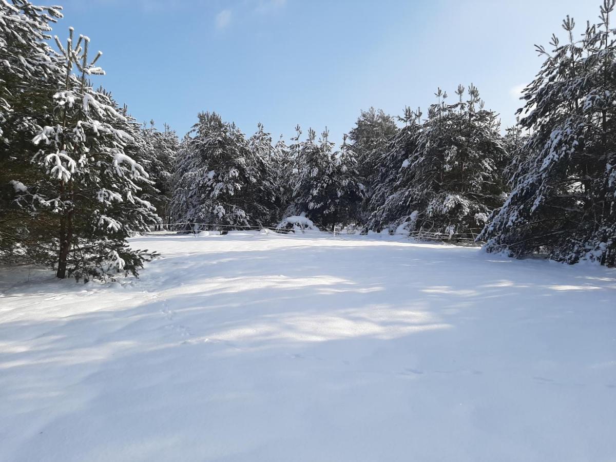 Agroturystyka Zubr Villa Siemianowka Esterno foto