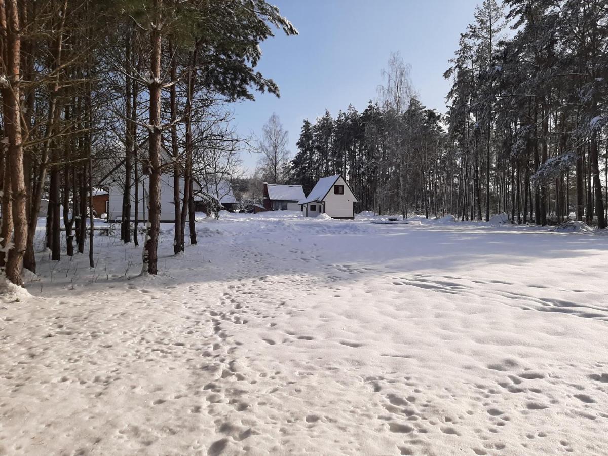 Agroturystyka Zubr Villa Siemianowka Esterno foto