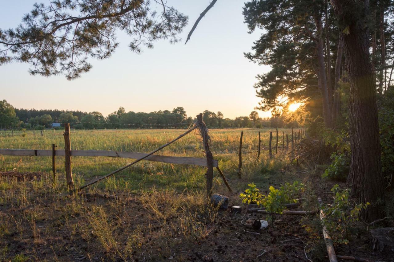 Agroturystyka Zubr Villa Siemianowka Esterno foto