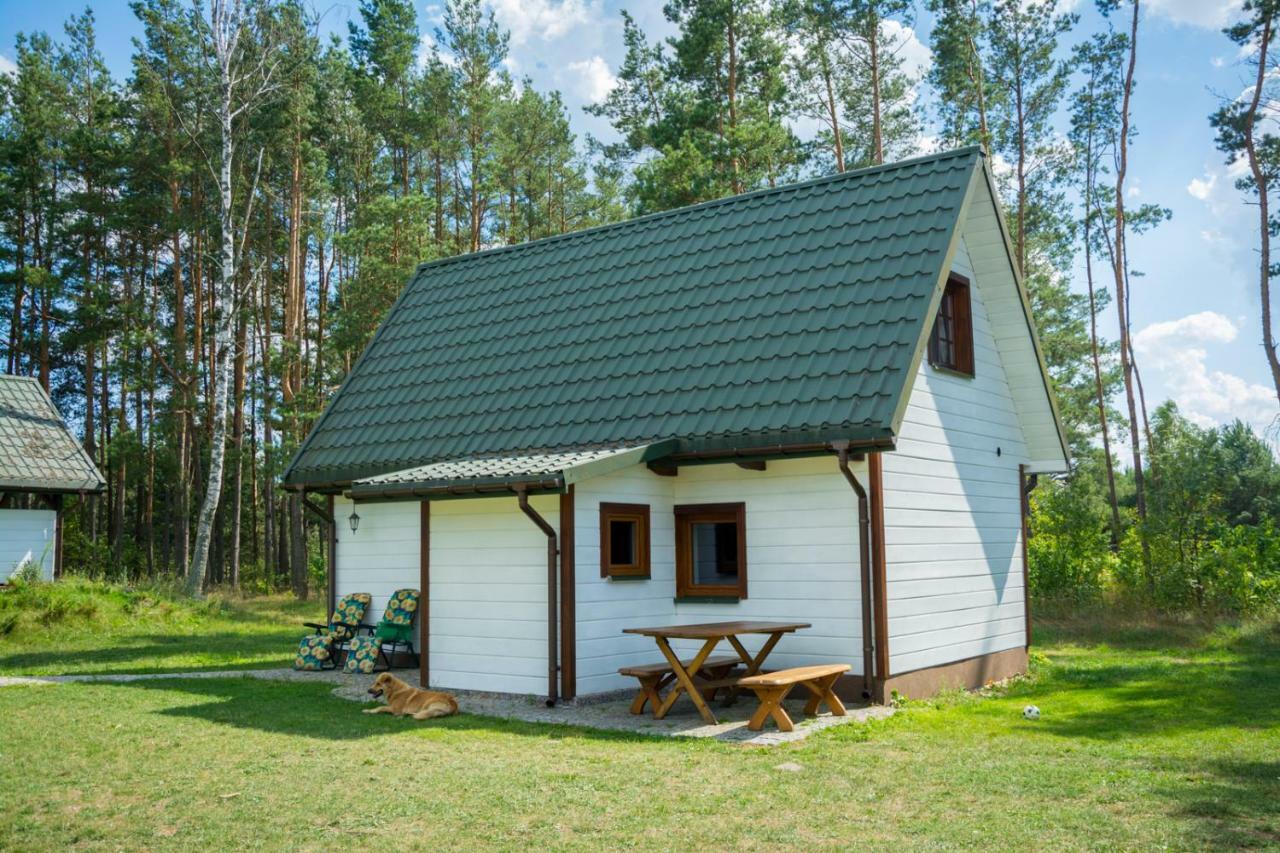 Agroturystyka Zubr Villa Siemianowka Esterno foto