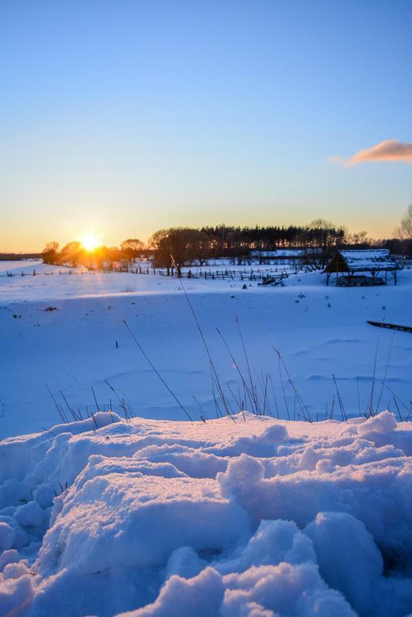 Agroturystyka Zubr Villa Siemianowka Esterno foto