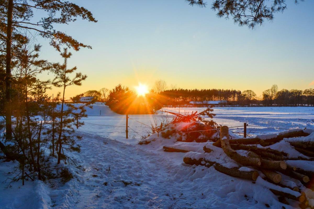 Agroturystyka Zubr Villa Siemianowka Esterno foto