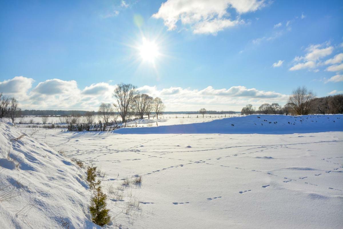 Agroturystyka Zubr Villa Siemianowka Esterno foto